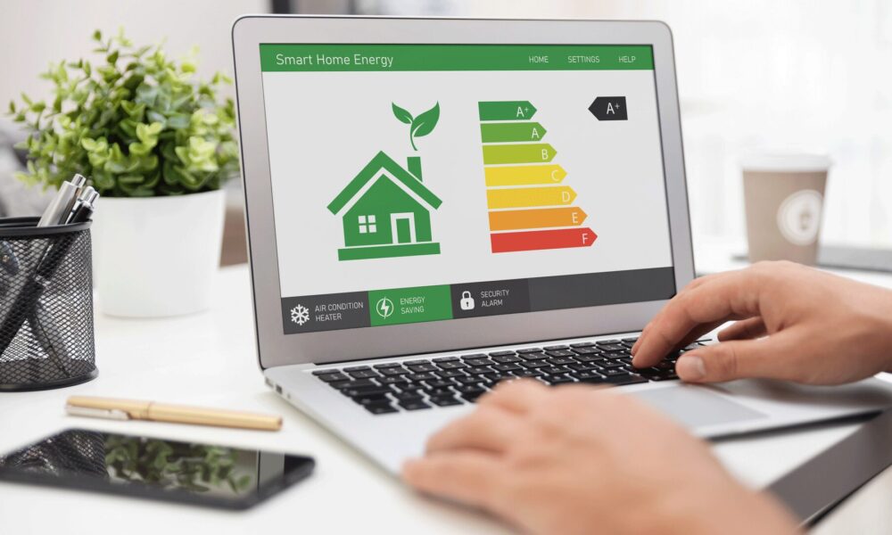 Energy_Saving_Grants_-_ECO_Guide_PDF-1-2